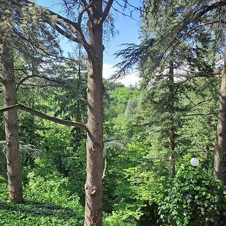 La Barca Nel Frutteto Natura E Relax In Collina Apartamento Lagune