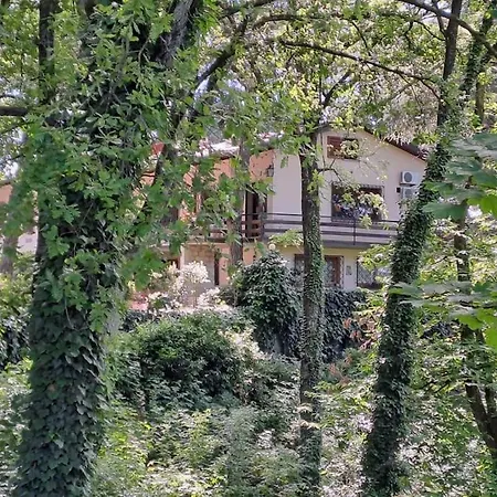 Apartamento La Barca Nel Frutteto Natura E Relax In Collina