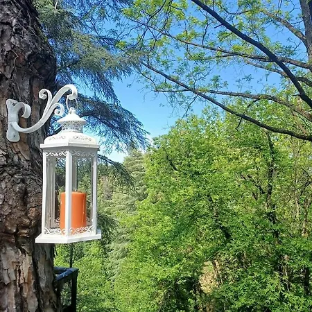 La Barca Nel Frutteto Natura E Relax In Collina Apartamento Lagune