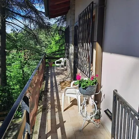 La Barca Nel Frutteto Natura E Relax In Collina アパート *