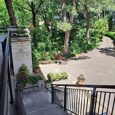 La Barca Nel Frutteto Natura E Relax In Collina شقة *