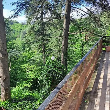 La Barca Nel Frutteto Natura E Relax In Collina Lagune