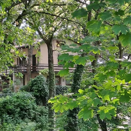 La Barca Nel Frutteto Natura E Relax In Collina アパート *