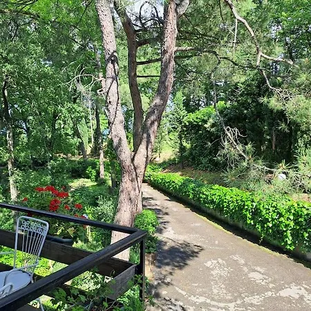 La Barca Nel Frutteto Natura E Relax In Collina 公寓 *