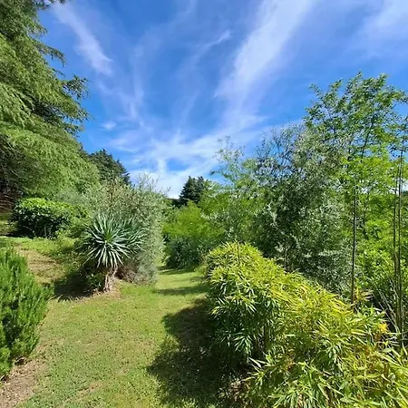 公寓 La Barca Nel Frutteto Natura E Relax In Collina *
