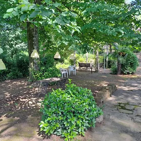 La Barca Nel Frutteto Natura E Relax In Collina 公寓 Lagune