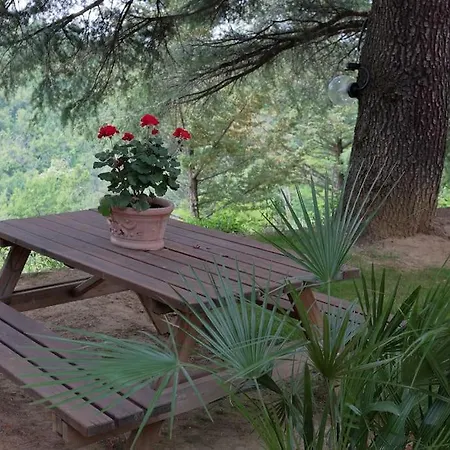 La Barca Nel Frutteto Natura E Relax In Collina *