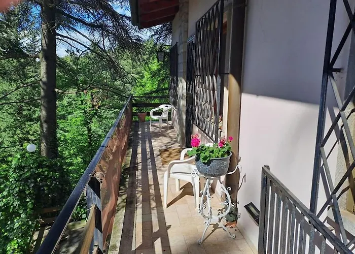 La Barca Nel Frutteto Natura E Relax In Collina Apartamento *