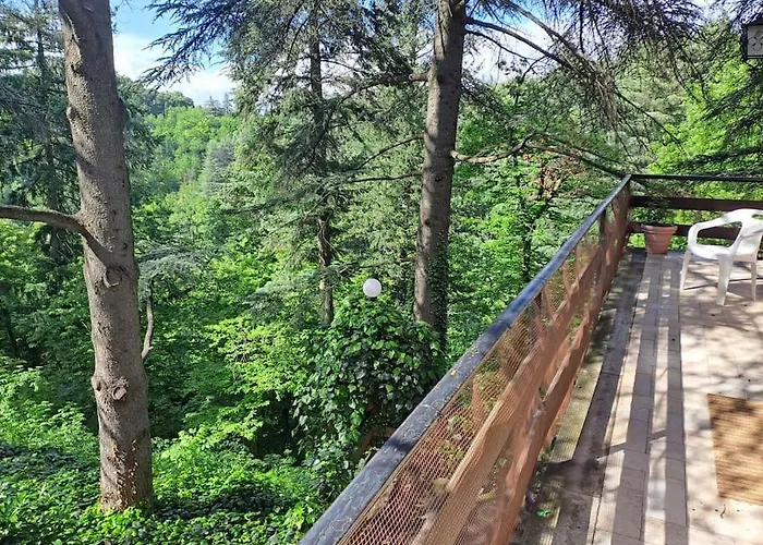 La Barca Nel Frutteto Natura E Relax In Collina Lagune
