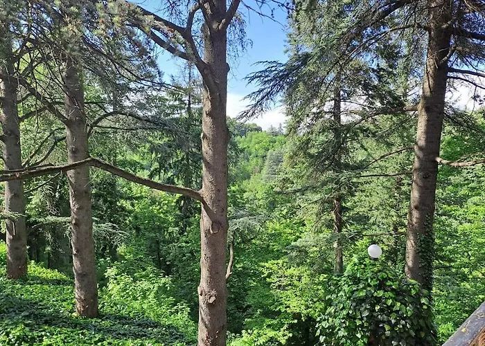 La Barca Nel Frutteto Natura E Relax In Collina Appartamento Lagune