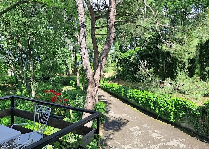 La Barca Nel Frutteto Natura E Relax In Collina Appartamento *