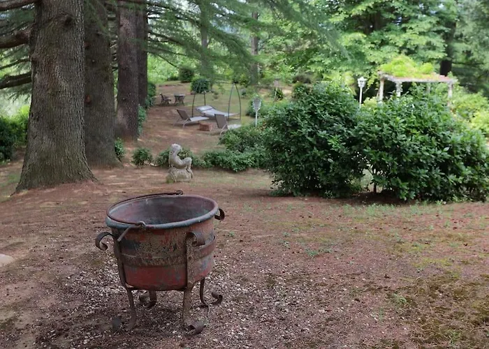 La Barca Nel Frutteto Natura E Relax In Collina