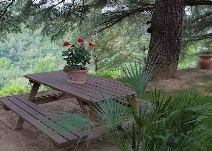 La Barca Nel Frutteto Natura E Relax In Collina *