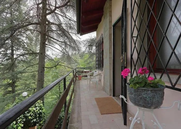 La Barca Nel Frutteto Natura E Relax In Collina Lagune