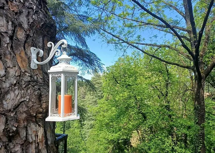 La Barca Nel Frutteto Natura E Relax In Collina Appartamento Lagune